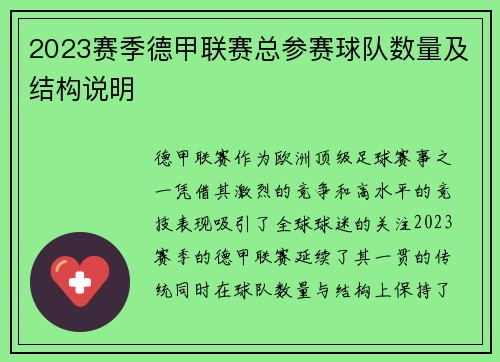 2023赛季德甲联赛总参赛球队数量及结构说明