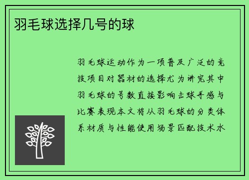 羽毛球选择几号的球
